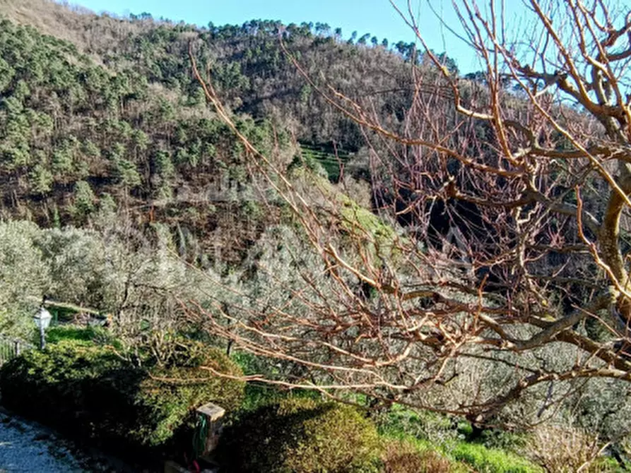 Immagine 36 di Rustico / casale in vendita  in Via Giovanni XXIII 1 a Vinci