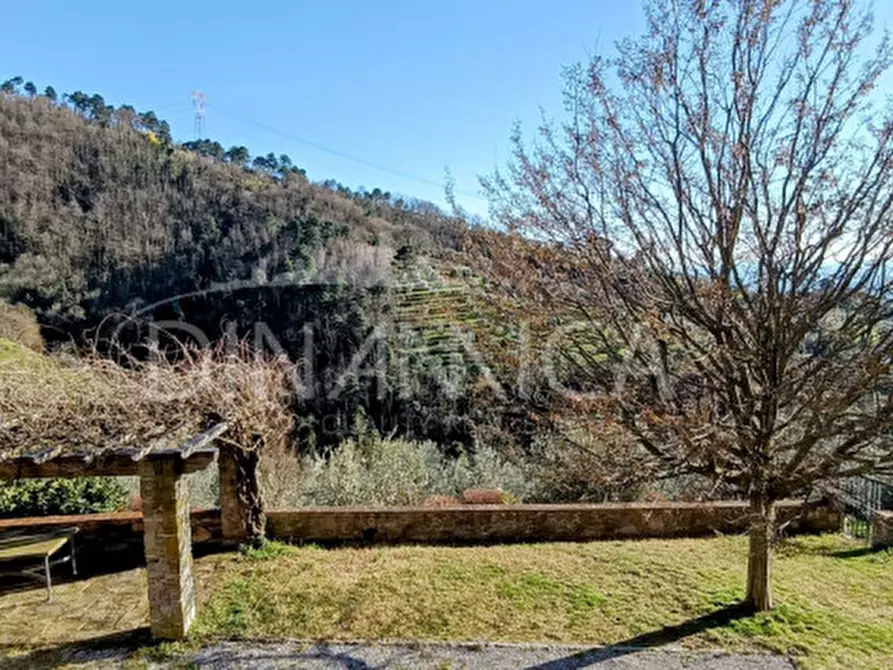 Immagine 52 di Rustico / casale in vendita  in Via Giovanni XXIII 1 a Vinci