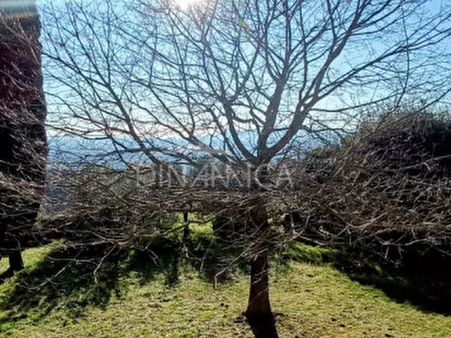 Immagine 53 di Rustico / casale in vendita  in Via Giovanni XXIII 1 a Vinci