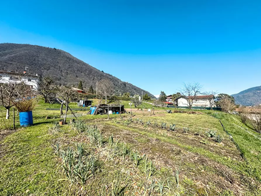 Immagine 12 di Terreno in vendita  in via madonna delle grazie a Cannobio