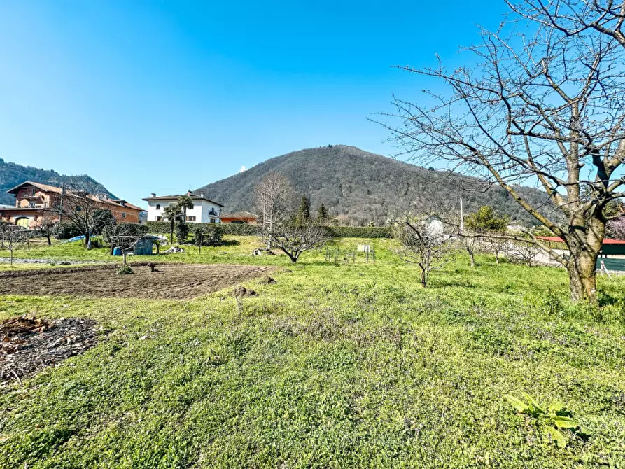 Immagine 13 di Terreno in vendita  in via madonna delle grazie a Cannobio