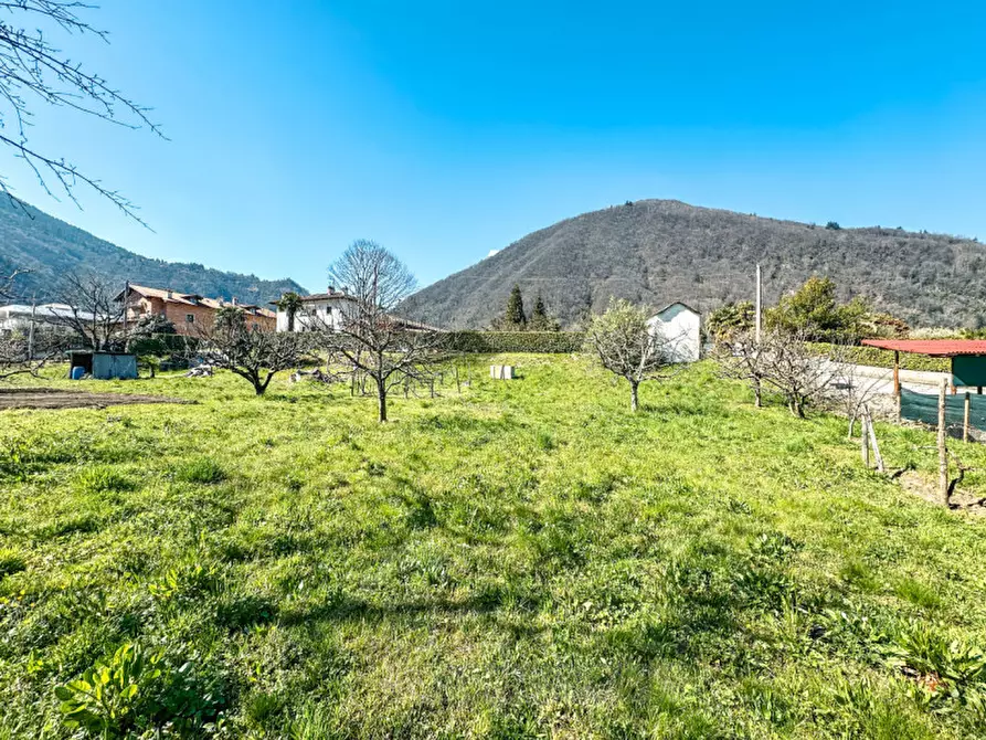 Immagine 14 di Terreno in vendita  in via madonna delle grazie a Cannobio