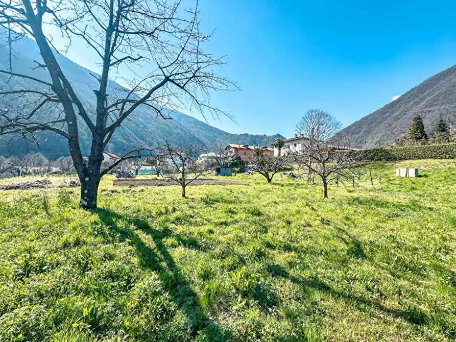 Immagine 15 di Terreno in vendita  in via madonna delle grazie a Cannobio