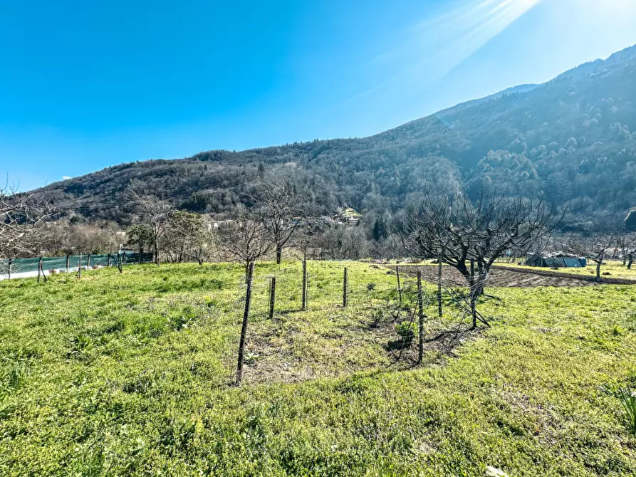 Immagine 16 di Terreno in vendita  in via madonna delle grazie a Cannobio