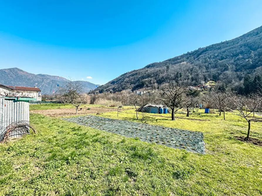 Immagine 18 di Terreno in vendita  in via madonna delle grazie a Cannobio