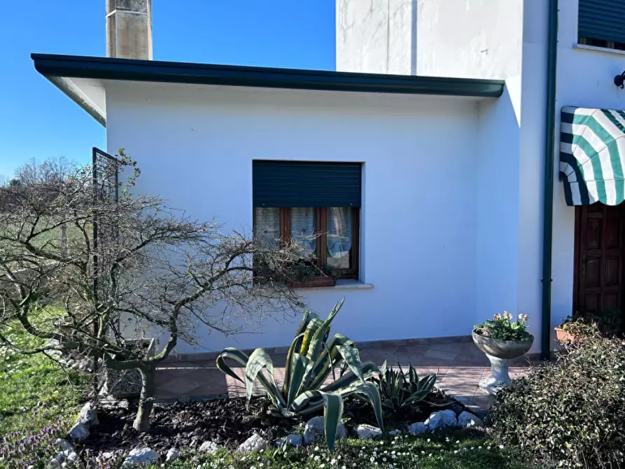 Immagine 2 di Rustico / casale in vendita  in Via Fontana a Gruaro