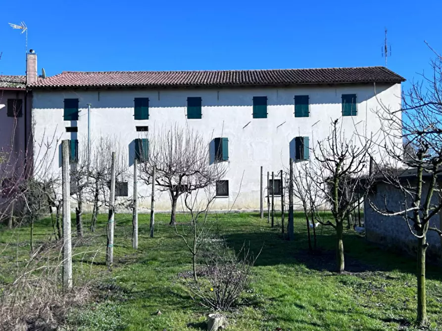 Immagine 3 di Rustico / casale in vendita  in Via Fontana a Gruaro
