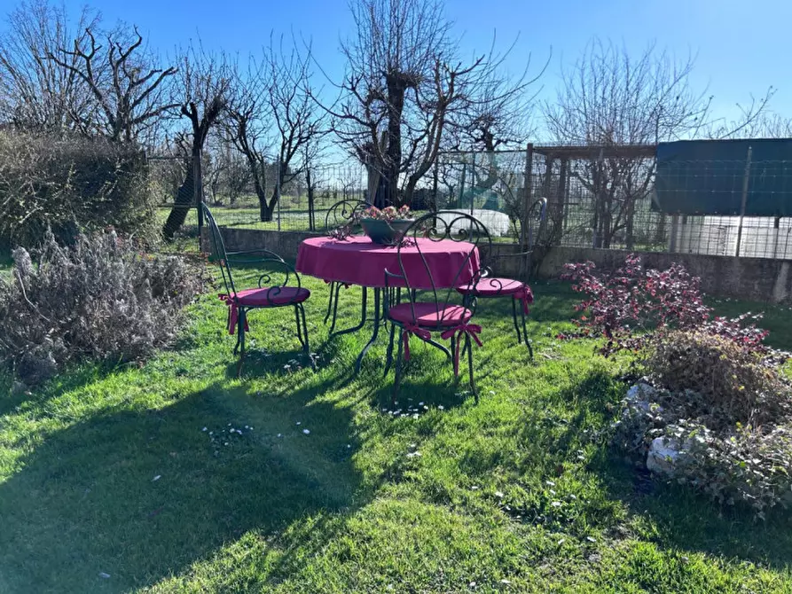 Immagine 4 di Rustico / casale in vendita  in Via Fontana a Gruaro