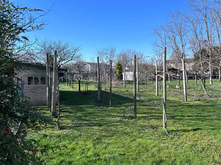 Immagine 5 di Rustico / casale in vendita  in Via Fontana a Gruaro