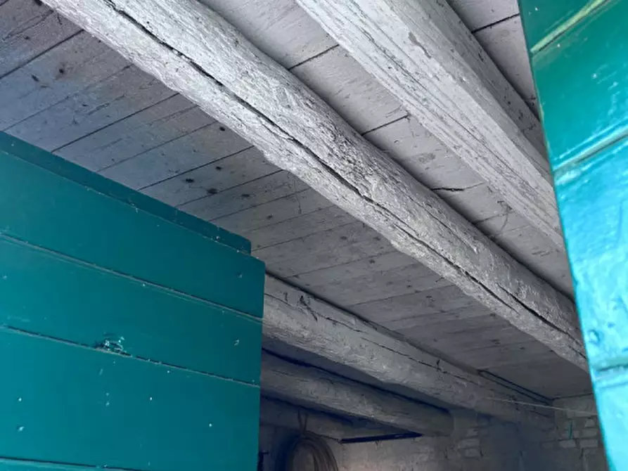 Immagine 15 di Rustico / casale in vendita  in Via Fontana a Gruaro