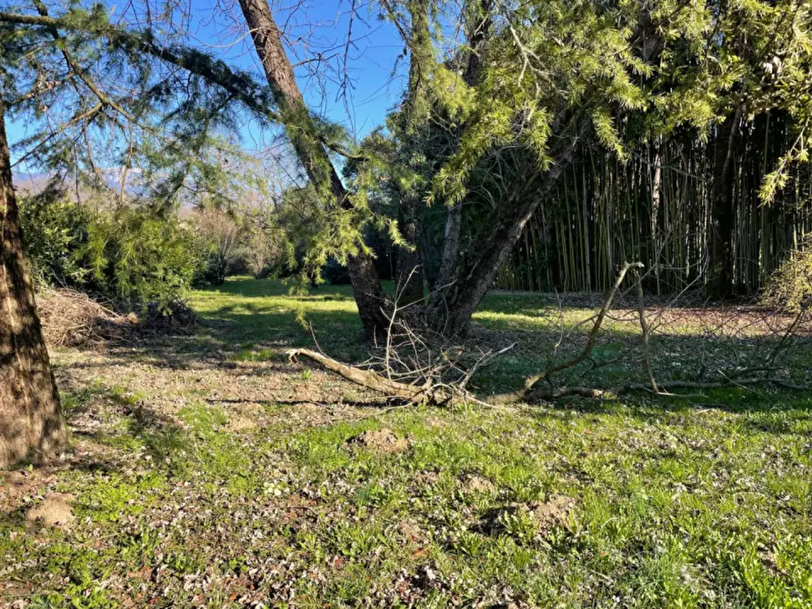 Immagine 4 di Terreno in vendita  in Via Valli a Fonte