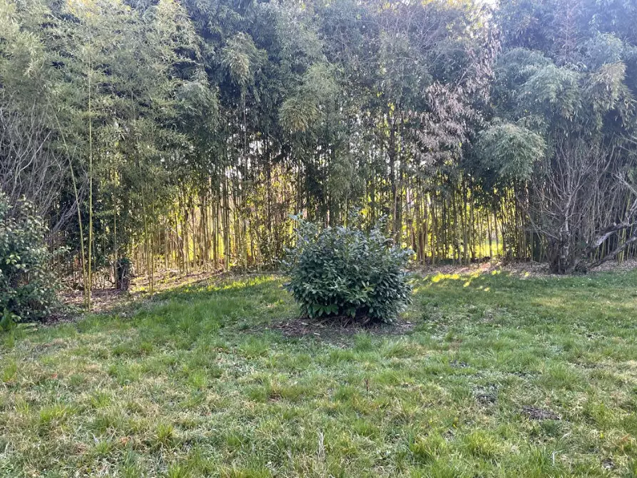 Immagine 6 di Terreno in vendita  in Via Valli a Fonte