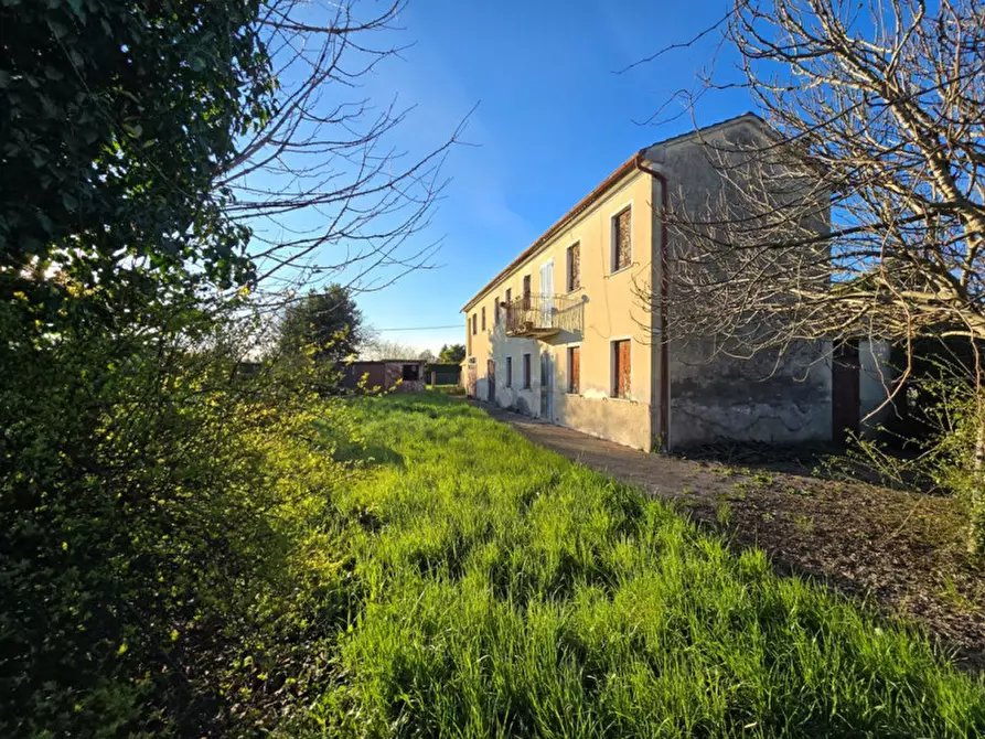 Immagine 1 di Casa indipendente in vendita  in Fossò a Fosso'