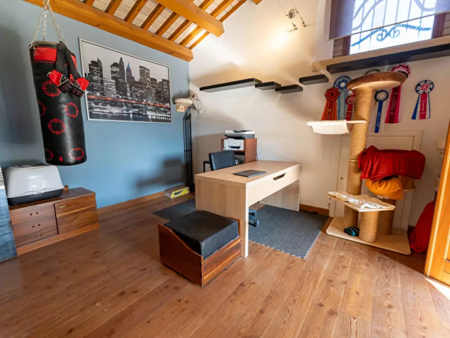 Immagine 32 di Villa in vendita  in Via Piera 11 a Legnaro