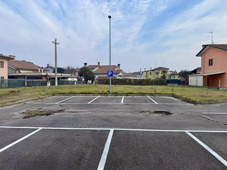 Immagine 4 di Terreno in vendita  in Viale della Libertà a Solesino