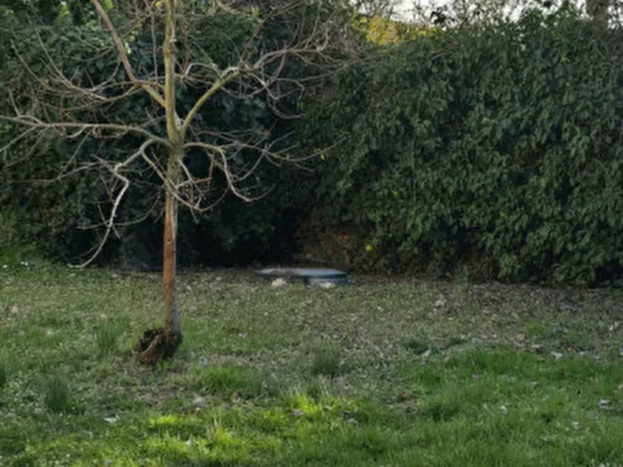 Immagine 30 di Casa indipendente in vendita  in Strada castel nuovo a Meldola