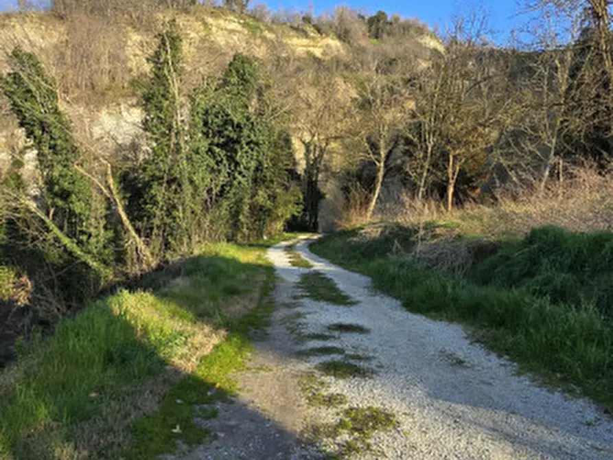Immagine 35 di Casa indipendente in vendita  in Strada castel nuovo a Meldola