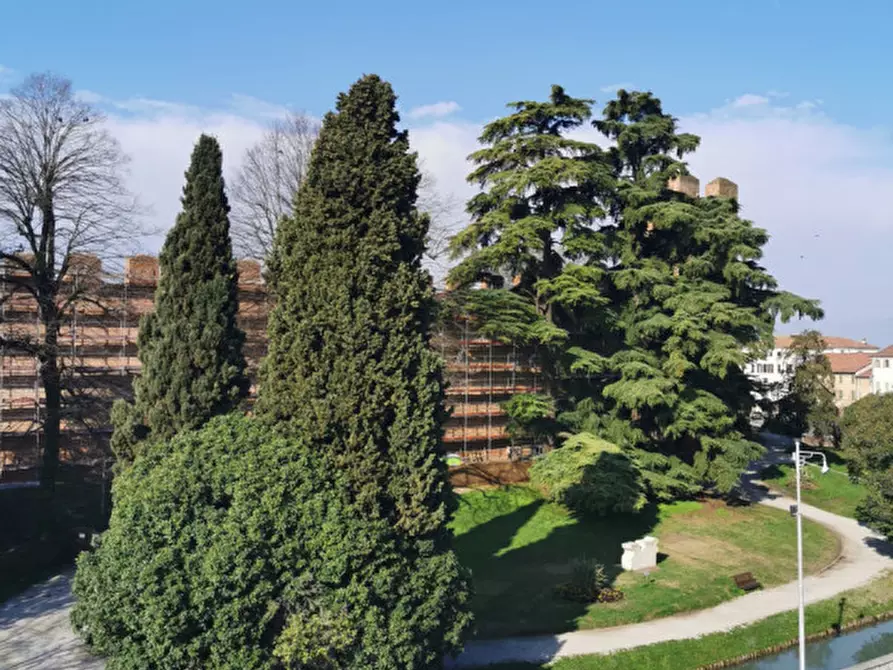 Immagine 6 di Appartamento in vendita  in Corso 29 Aprile a Castelfranco Veneto