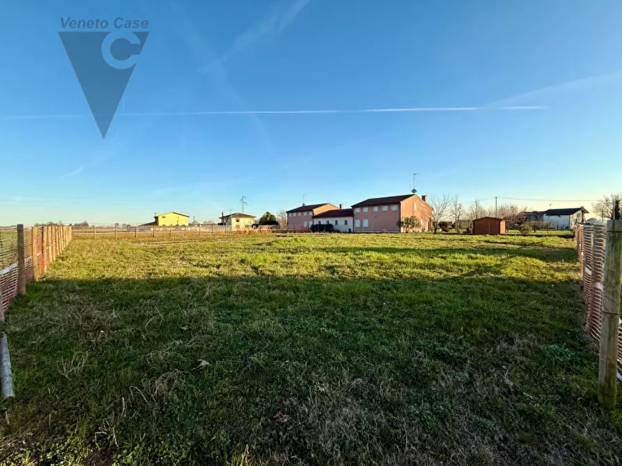 Immagine 5 di Terreno in vendita  a Polverara