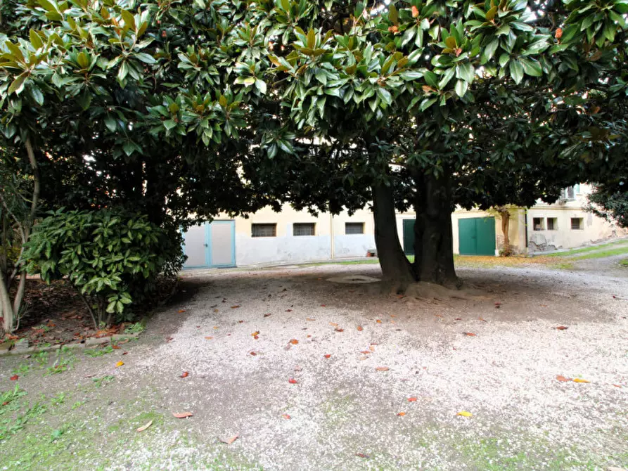 Immagine 19 di Appartamento in vendita  in Via Teatro 1 a Monselice