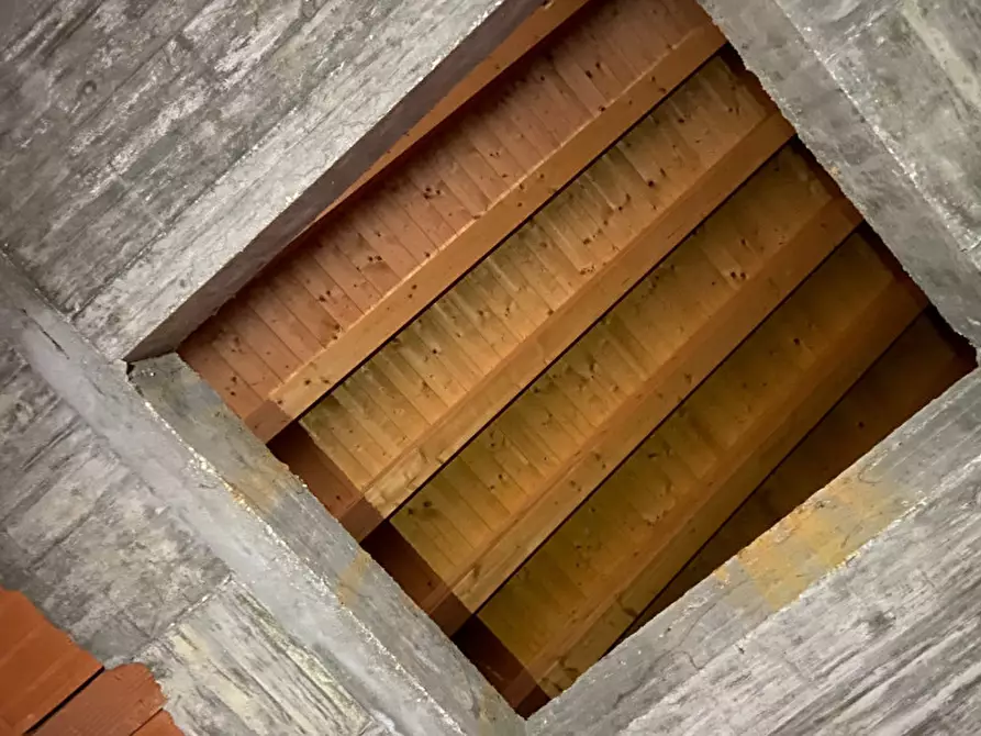 Immagine 10 di Casa bifamiliare in vendita  in Via Ponte Pelli 10 a San Pietro Viminario