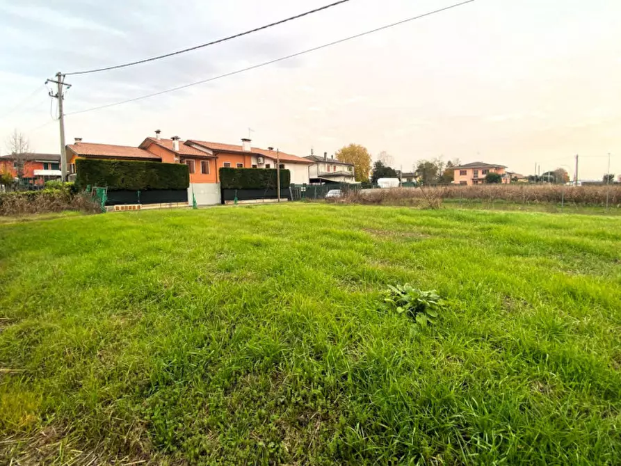 Immagine 13 di Casa bifamiliare in vendita  in Via Ponte Pelli 10 a San Pietro Viminario