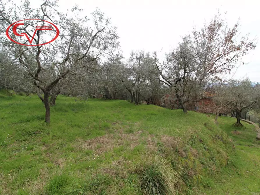 Immagine 34 di Villa in vendita  a Loro Ciuffenna