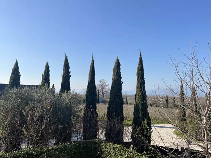 Immagine 16 di Appartamento in vendita  in Via Boschetti a Peschiera Del Garda