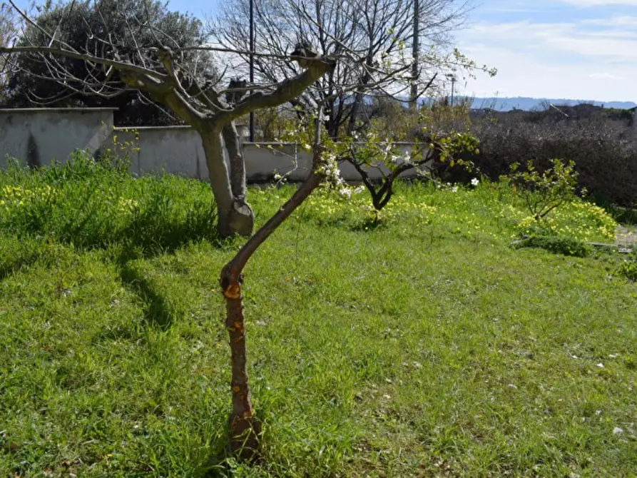 Immagine 7 di Casa bifamiliare in vendita  in Via Monte dei Fiori a Pescara