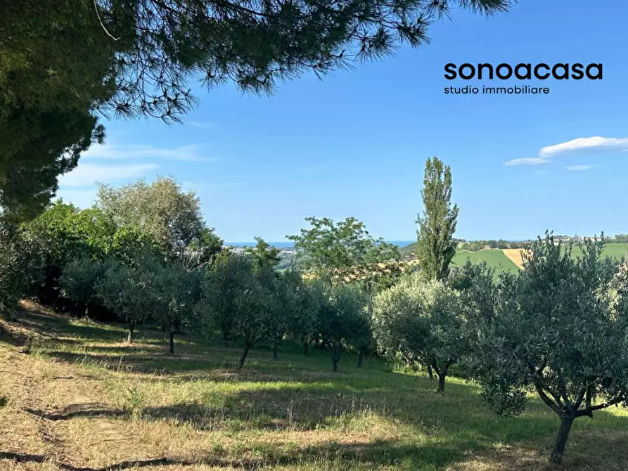 Immagine 1 di Terreno in vendita  in Viale E. Paci a Trecastelli