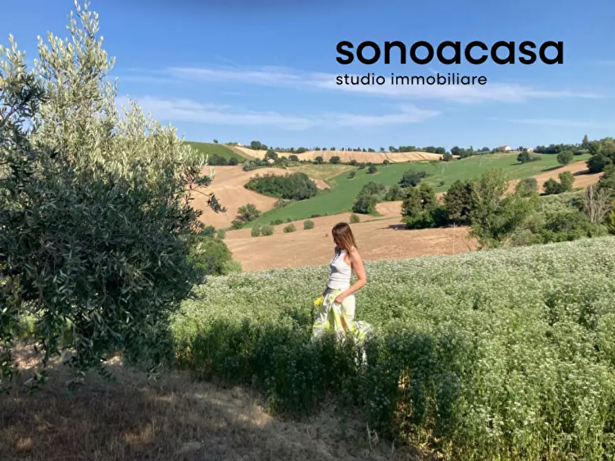 Immagine 1 di Terreno in vendita  in Viale E. Paci a Trecastelli