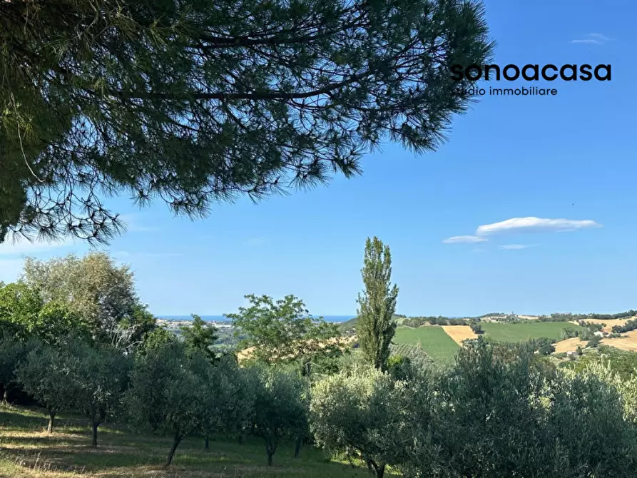 Immagine 2 di Terreno in vendita  in Viale E. Paci a Trecastelli