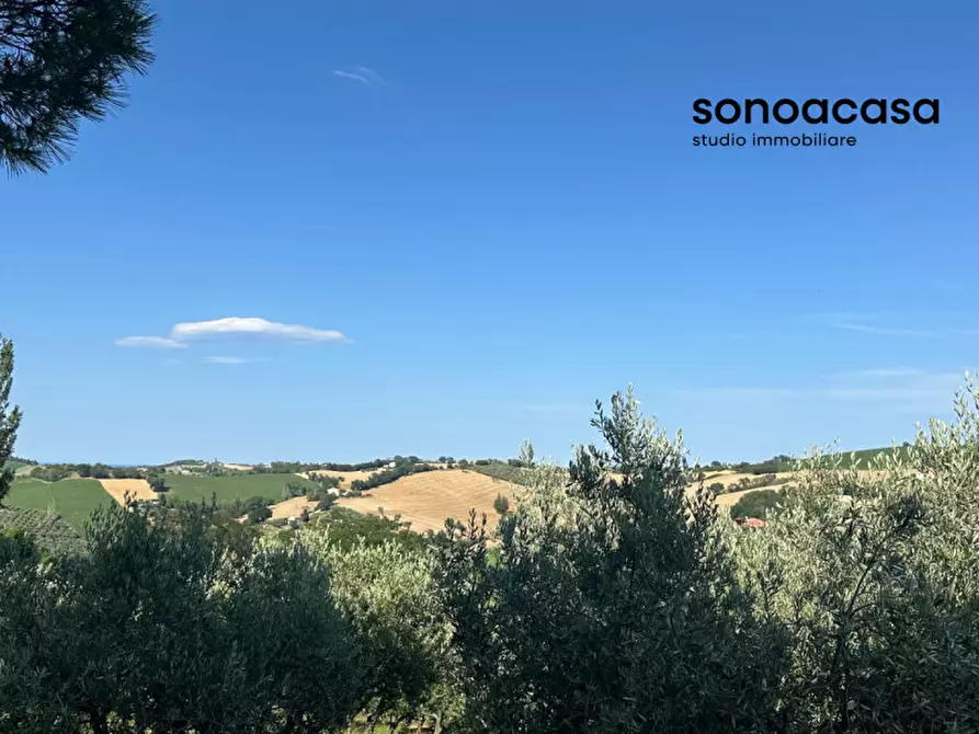 Immagine 5 di Terreno in vendita  in Viale E. Paci a Trecastelli