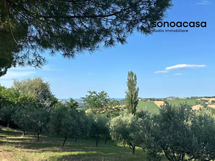 Immagine 6 di Terreno in vendita  in Viale E. Paci a Trecastelli