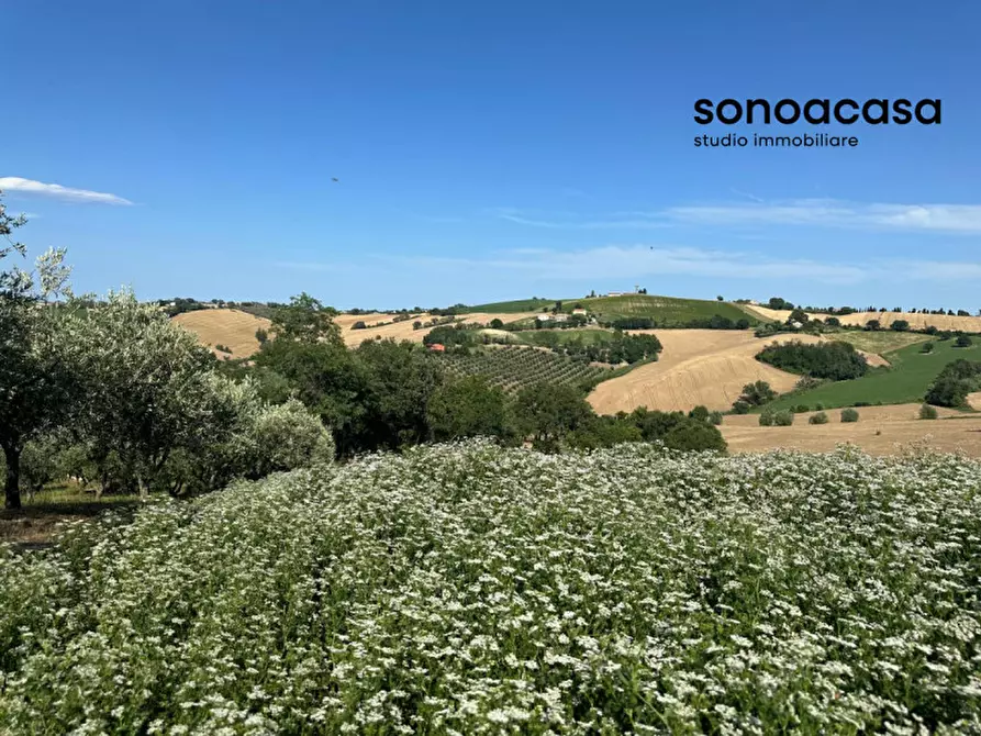 Immagine 7 di Terreno in vendita  in Viale E. Paci a Trecastelli