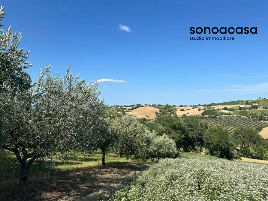 Immagine 9 di Terreno in vendita  in Viale E. Paci a Trecastelli