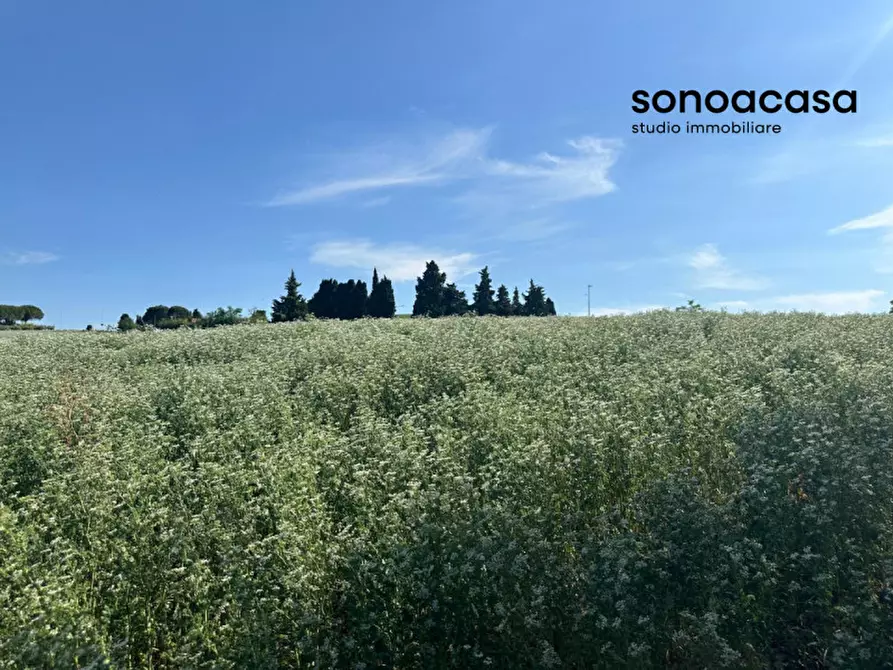 Immagine 10 di Terreno in vendita  in Viale E. Paci a Trecastelli