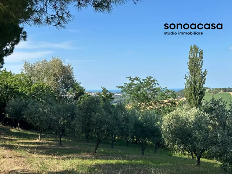 Immagine 11 di Terreno in vendita  in Viale E. Paci a Trecastelli