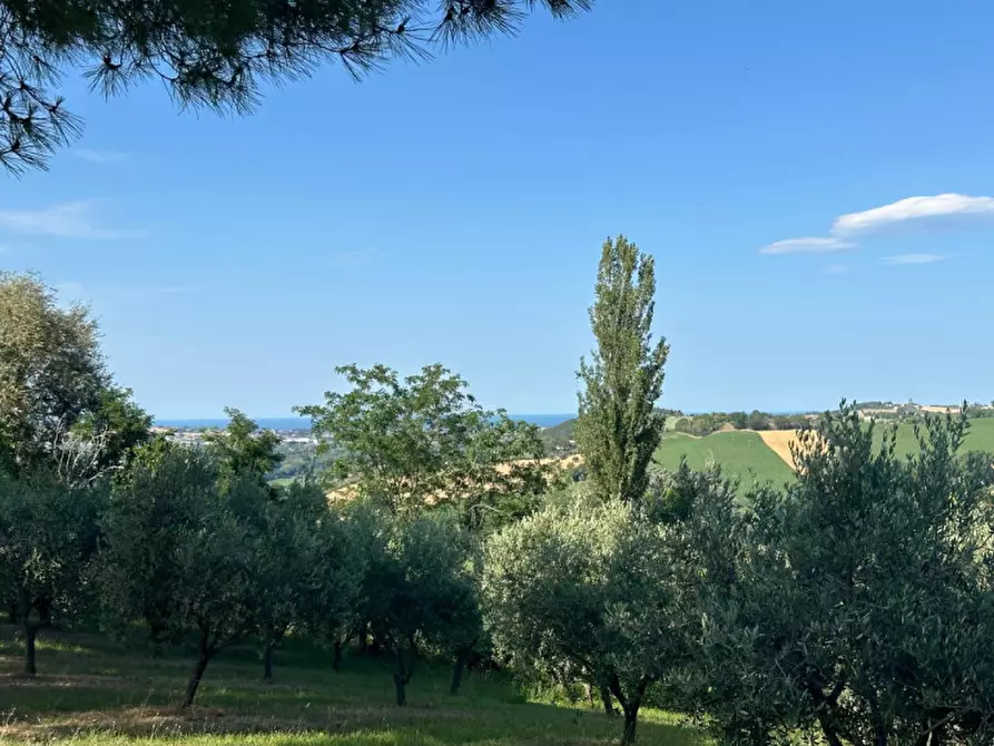 Immagine 12 di Terreno in vendita  in Viale E. Paci a Trecastelli