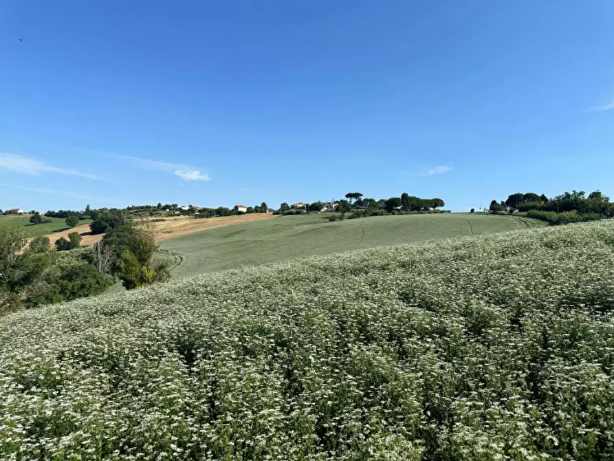 Immagine 17 di Terreno in vendita  in Viale E. Paci a Trecastelli