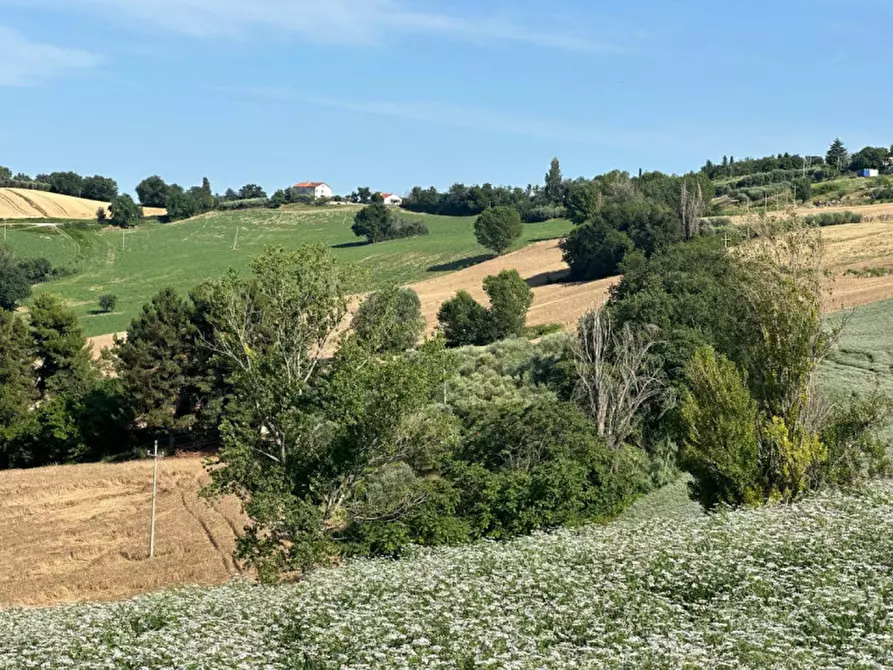 Immagine 18 di Terreno in vendita  in Viale E. Paci a Trecastelli