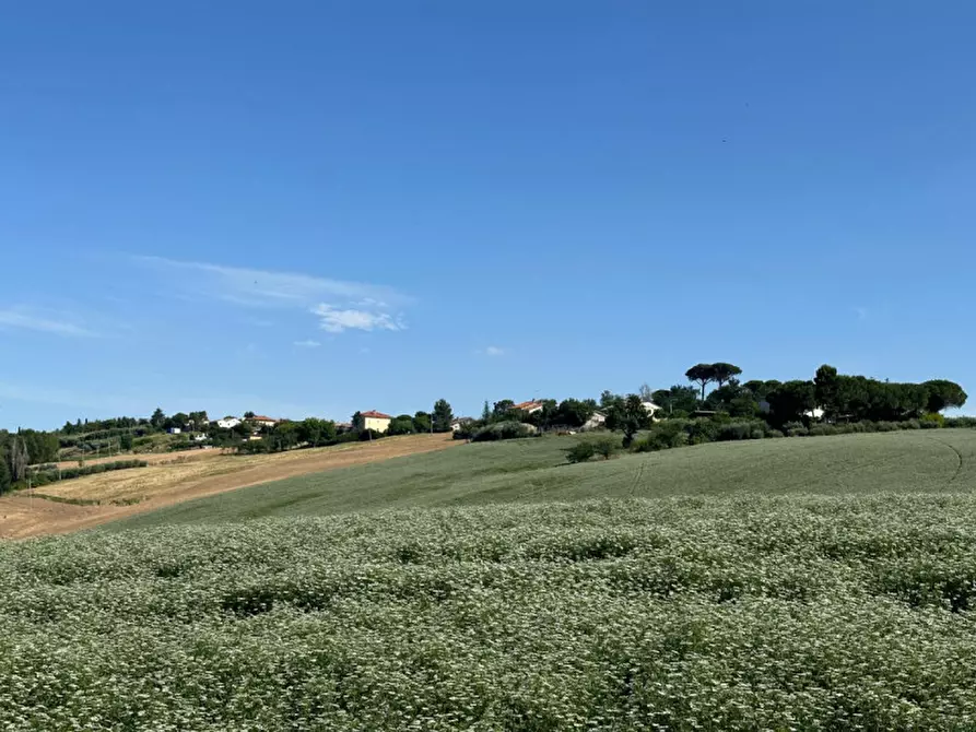 Immagine 26 di Terreno in vendita  in Viale E. Paci a Trecastelli