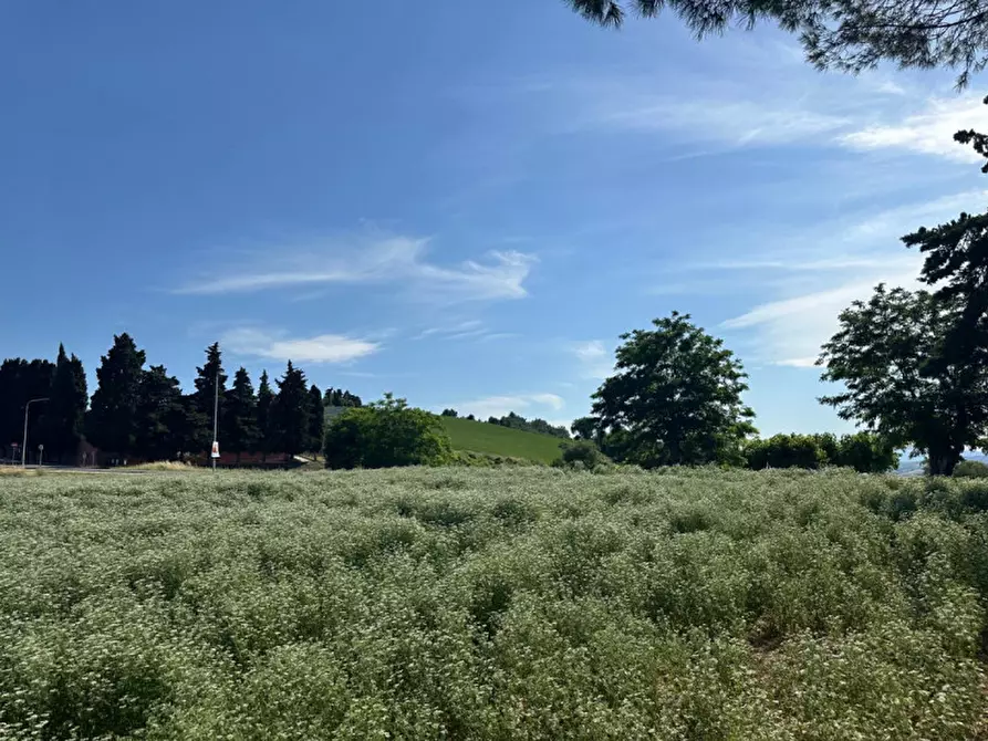 Immagine 27 di Terreno in vendita  in Viale E. Paci a Trecastelli