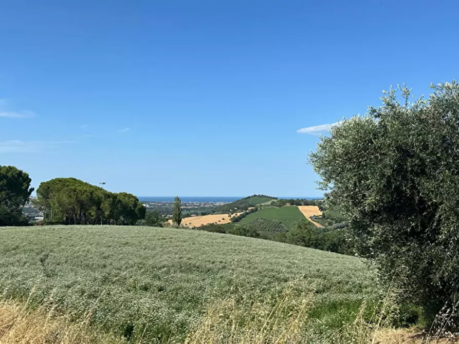 Immagine 29 di Terreno in vendita  in Viale E. Paci a Trecastelli