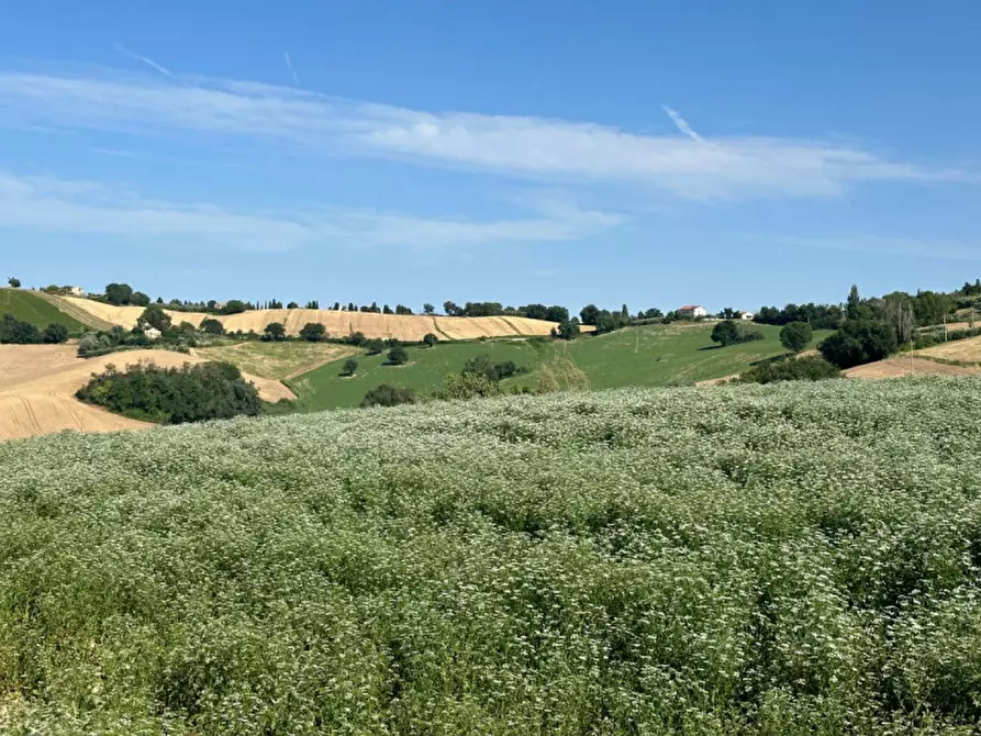 Immagine 32 di Terreno in vendita  in Viale E. Paci a Trecastelli