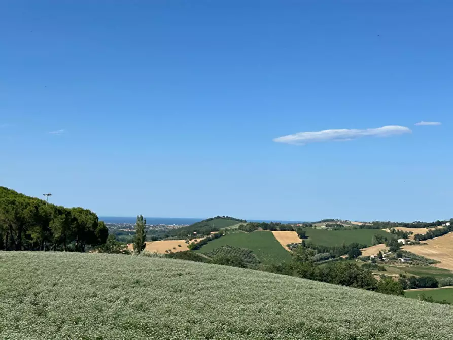 Immagine 36 di Terreno in vendita  in Viale E. Paci a Trecastelli