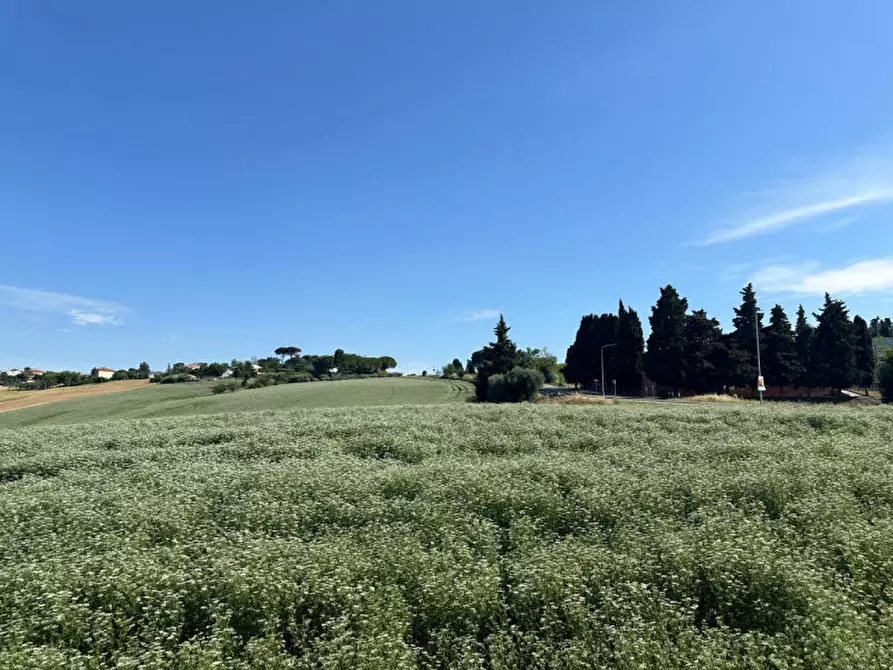 Immagine 39 di Terreno in vendita  in Viale E. Paci a Trecastelli