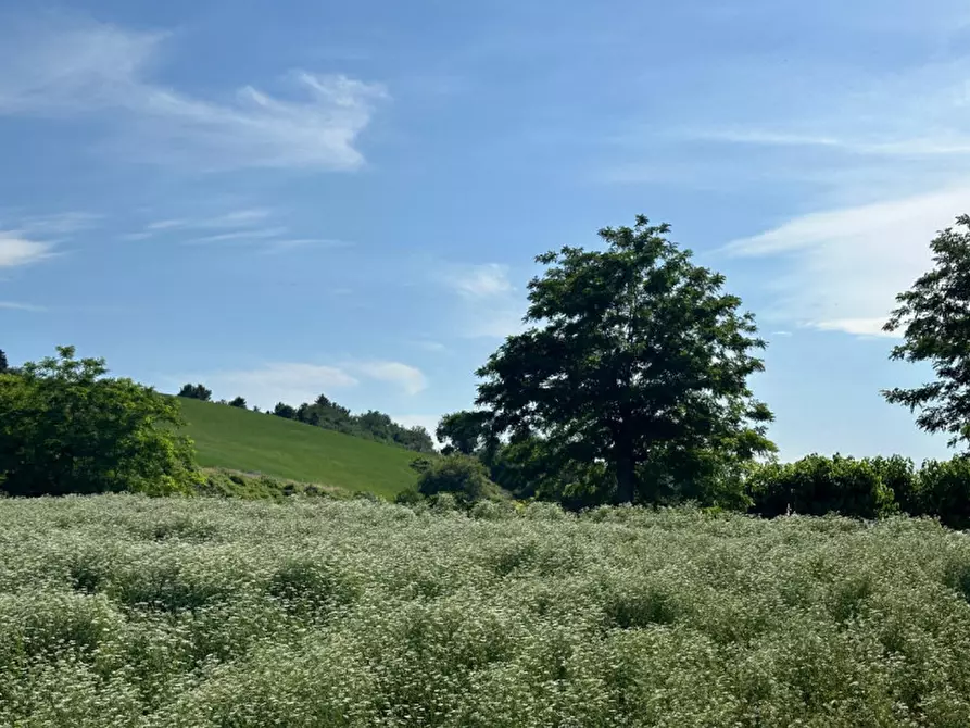 Immagine 40 di Terreno in vendita  in Viale E. Paci a Trecastelli