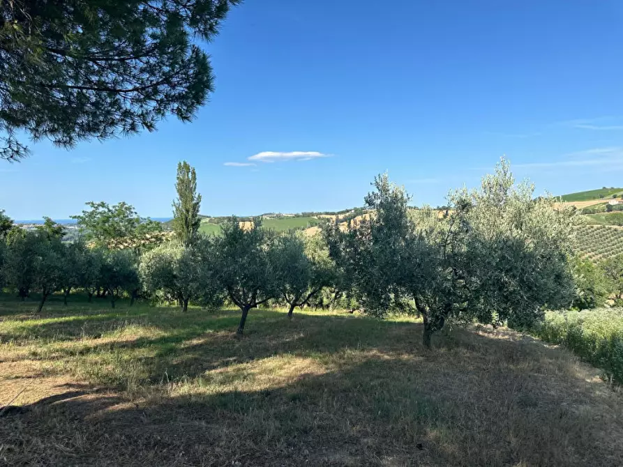 Immagine 41 di Terreno in vendita  in Viale E. Paci a Trecastelli