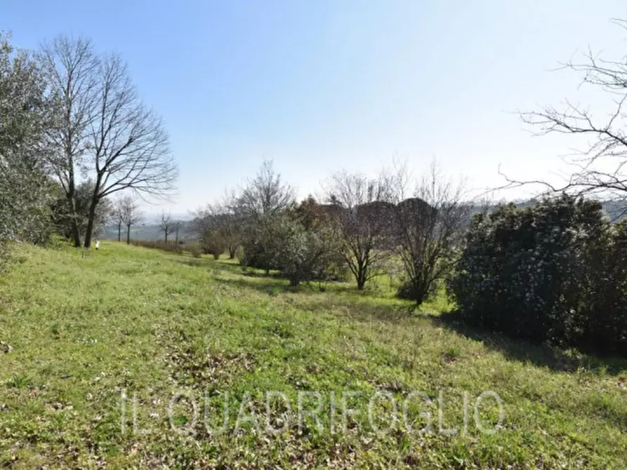 Immagine 43 di Villa in vendita  in Via Madonna dell'Olivo a Cesena